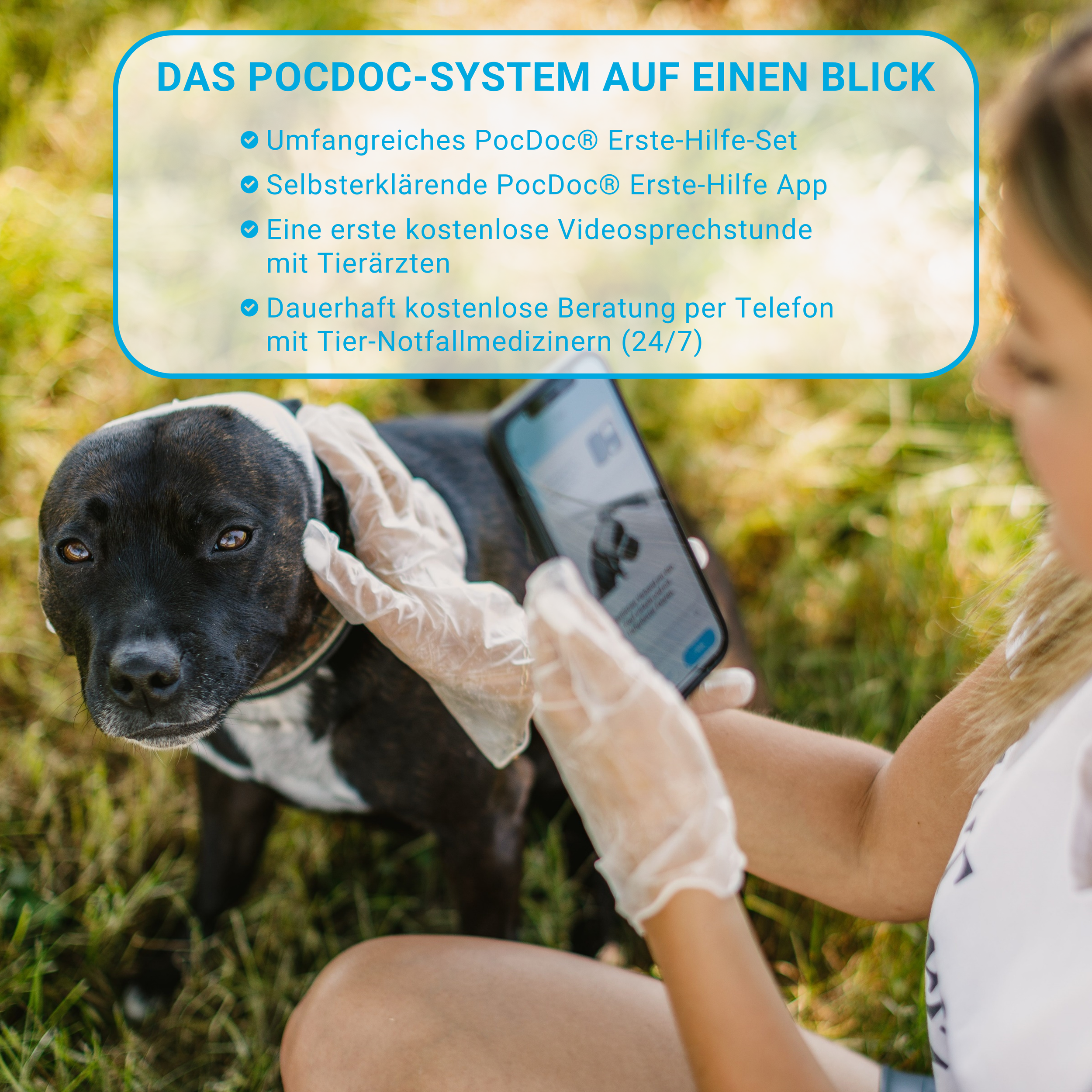 POCDOC Pet Connect